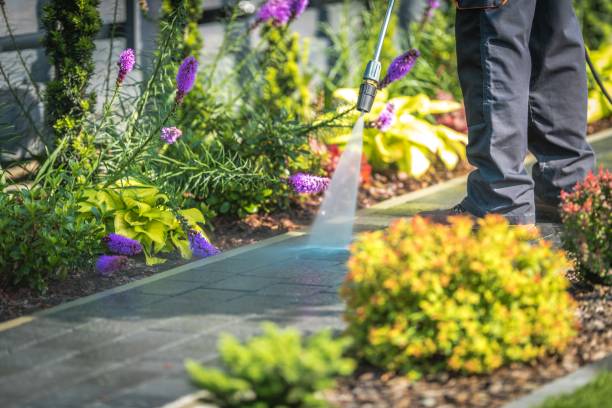 Best Sidewalk and Walkway Cleaning  in Bella Vista, AR
