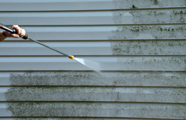 Best Gutter Cleaning  in Bella Vista, AR